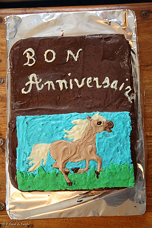 Cheval anniversaire