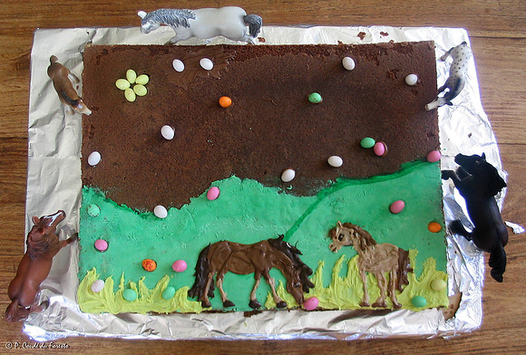 Chevaux au pré