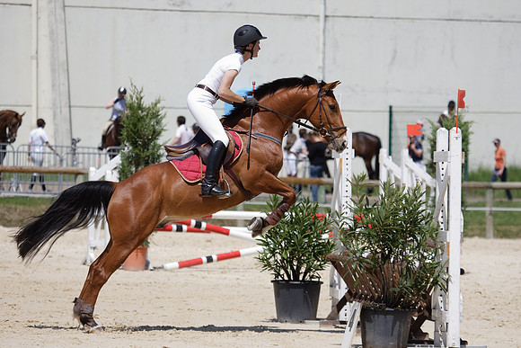 CSO Amateur 3 Préparatoire (0,95m)