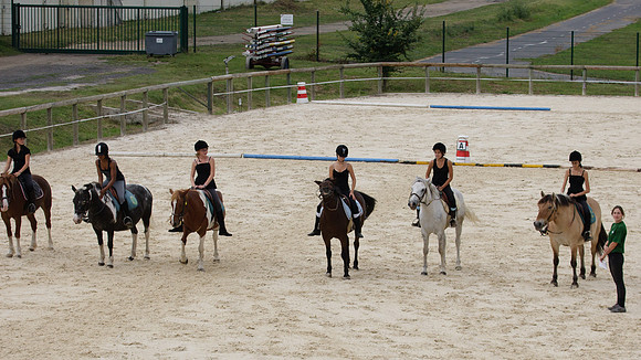 Fête du cheval 2010