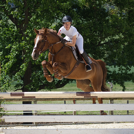 CSO Amateur 3 préparatoire (0,95m)