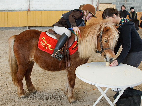 Equifun 21 Mars 2010