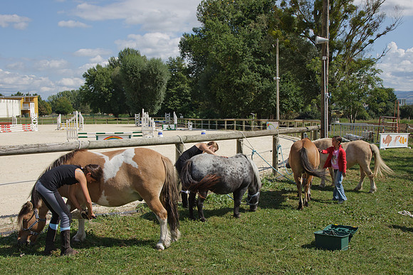 Fête du cheval 2010