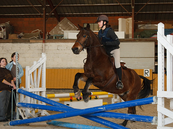 Hunter 21 Mars 2010